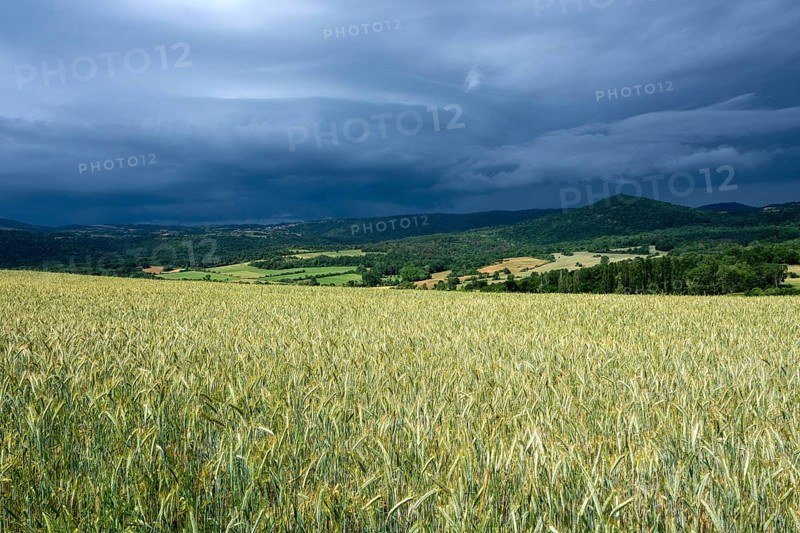 Stormy sky over a wheat field in the Limagne plain