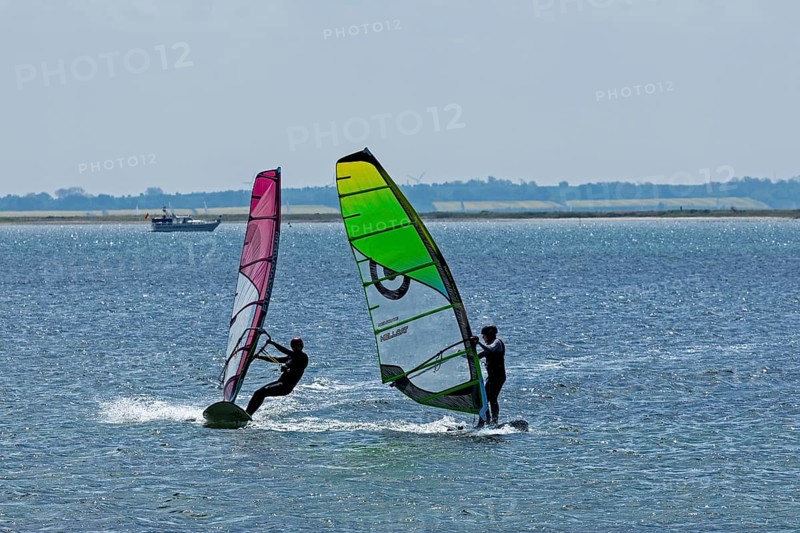 Windsurfer