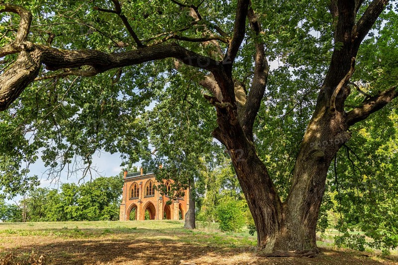Court arbour