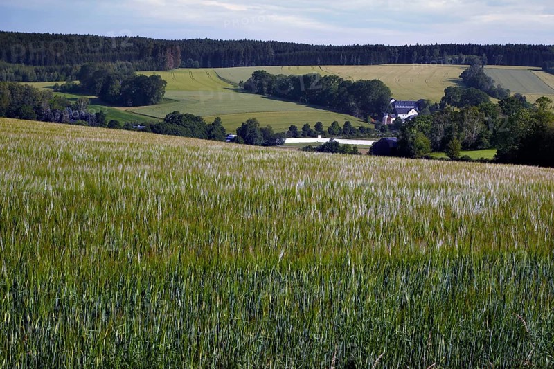 View over field to Moedlareuth