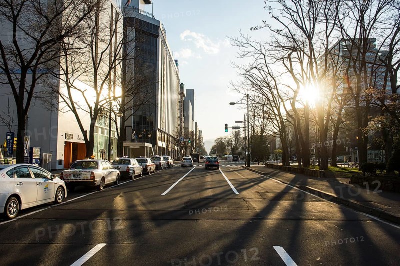 Odori Park