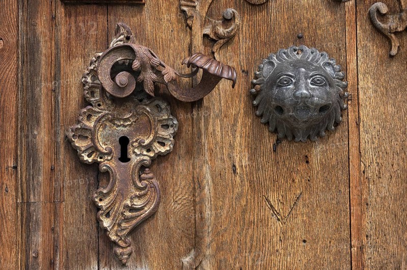 Entrance gate with door handle and lock