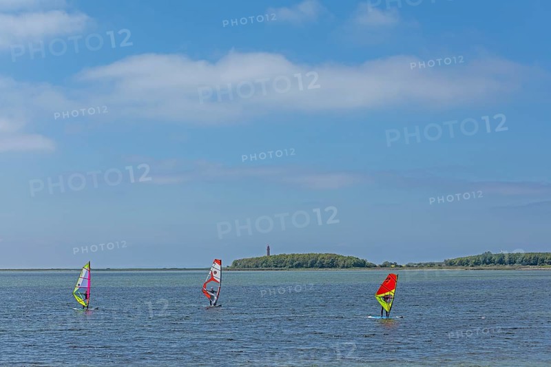 Windsurfer