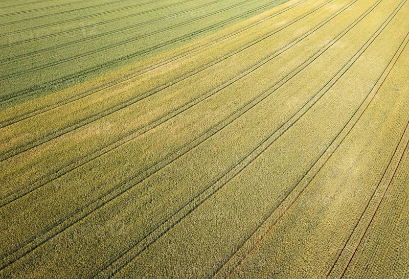 Drone image