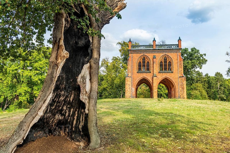 Court arbour