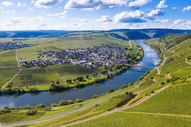 The Moselle at Trittenheim