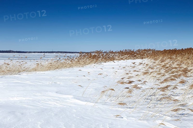 Winter landscape