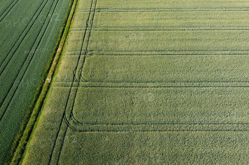 Drone image