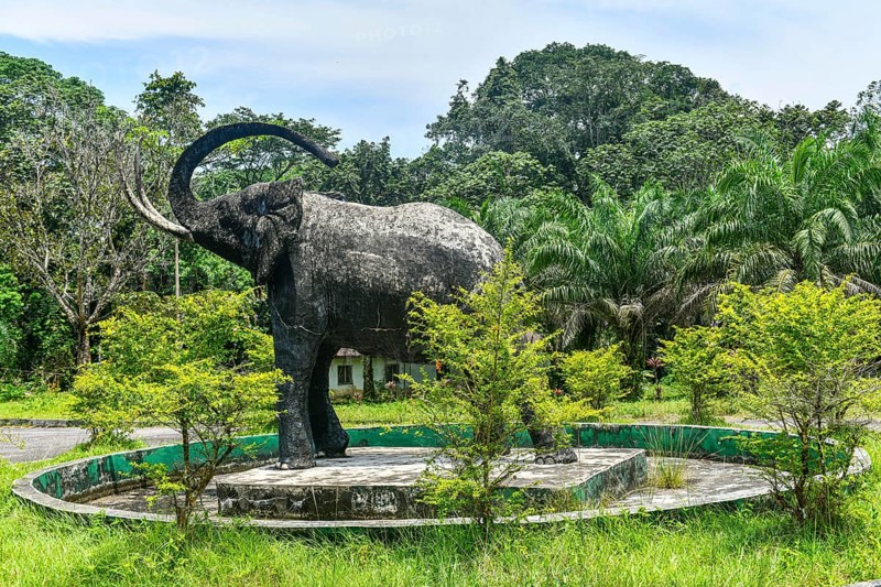 Cross river national Park