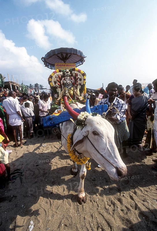 Masi Magam festival at Puducherry