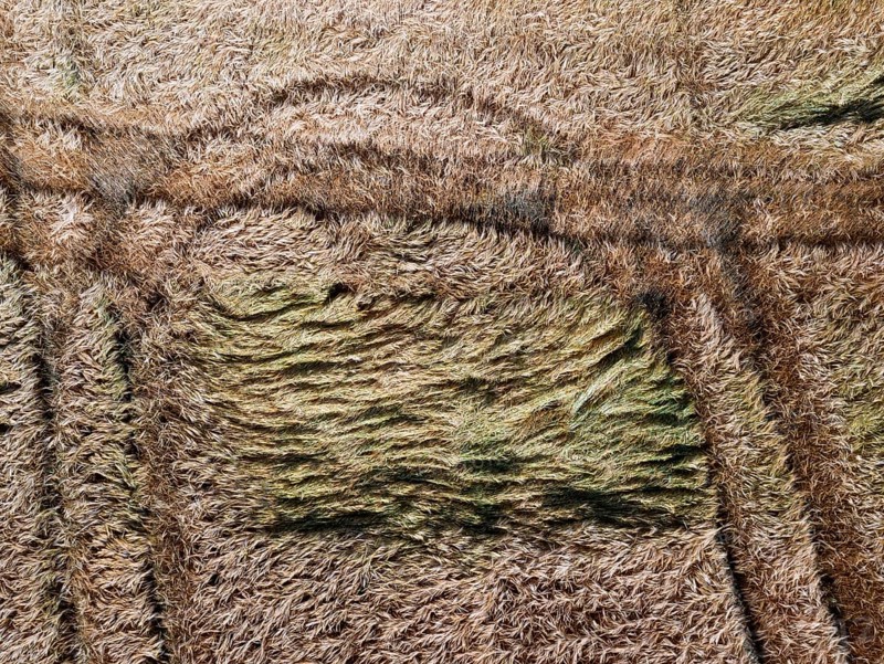 Drone image
