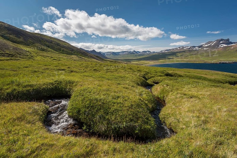 Stream