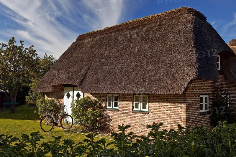 Thatched roof house