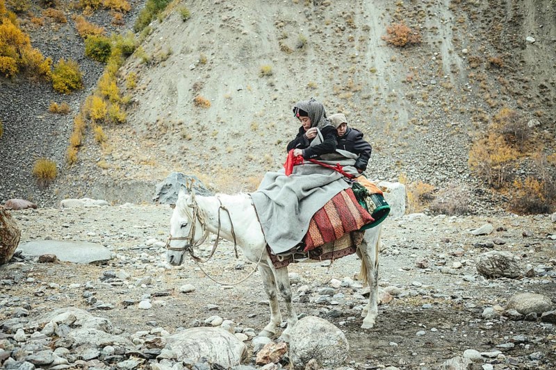 A boy with his little brother on a white horse