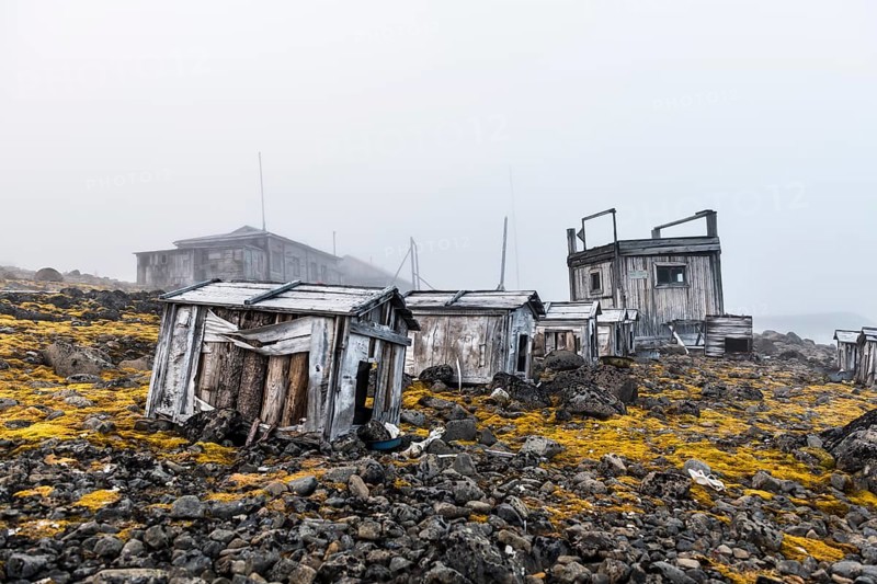 Polar huskies boxes in the historical meteorological station Sedov in Tikhaya bay on Hooker island