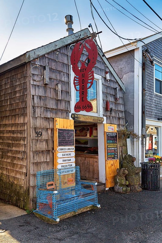 Lobster sales