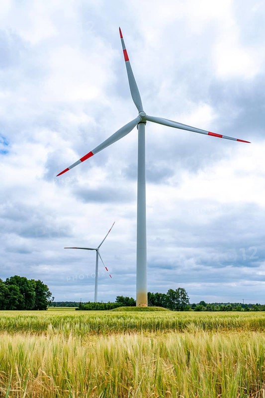 Wind turbines in Westerholz
