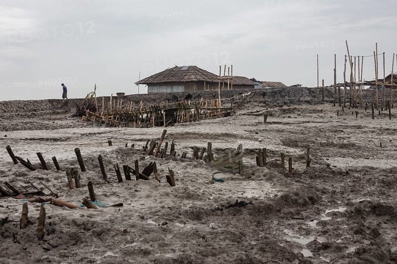 Remains of piles from pile dwellings washed away during storm surge