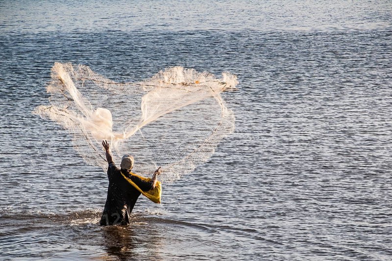 Man netfishing in the harbour of Apia