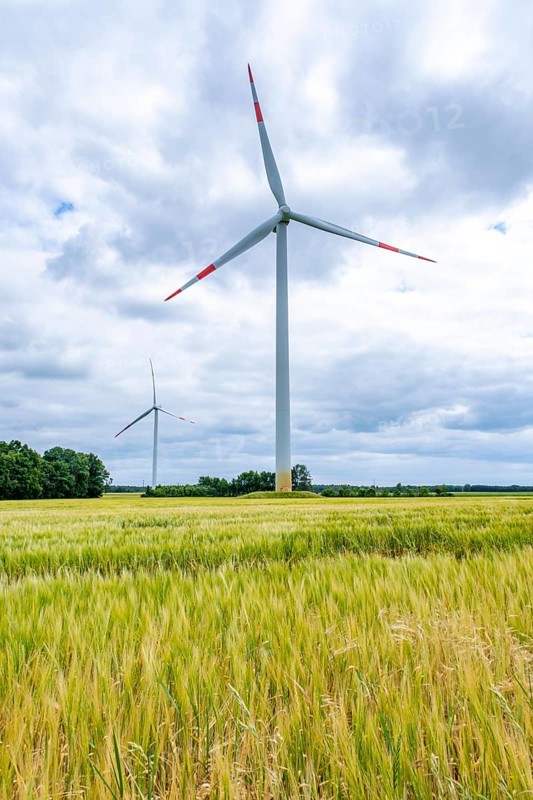 Wind turbines in Westerholz