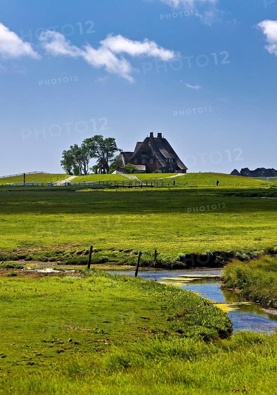 The Kirchwarft with marshland and drainage ditches