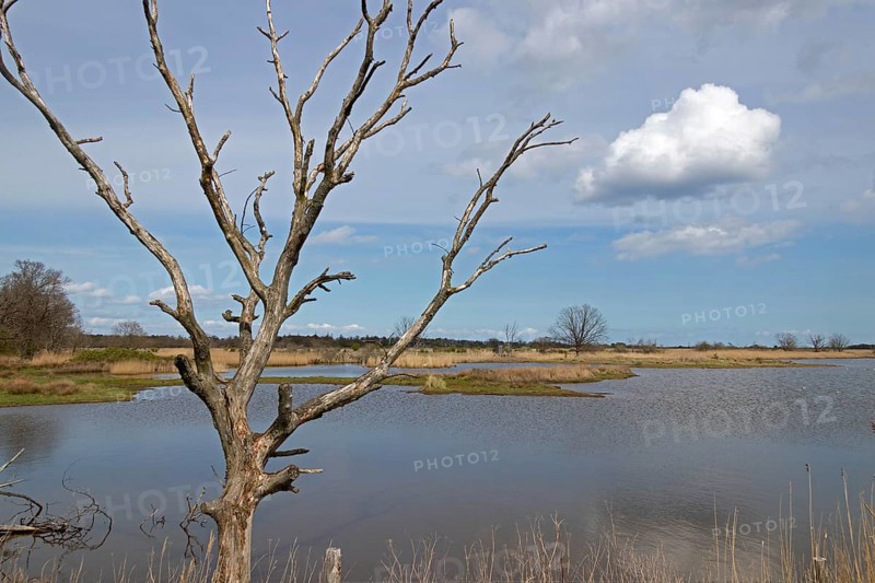 Controlled waterlogging