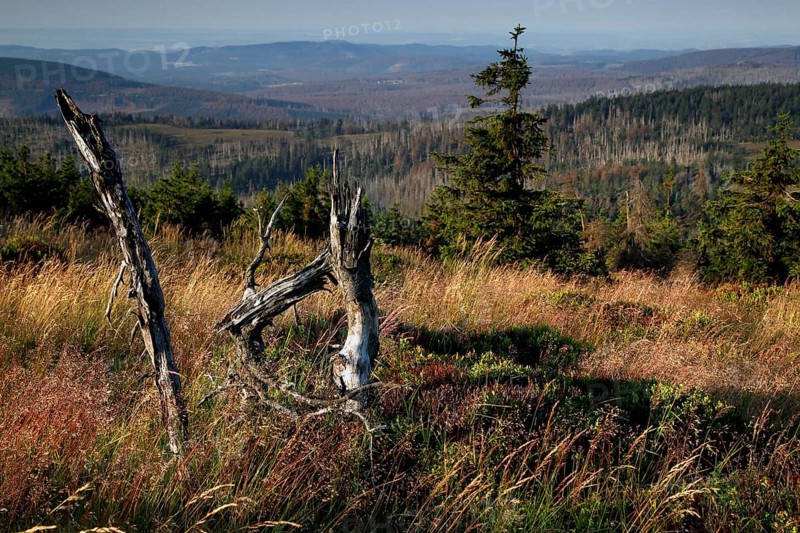 View of the Harz Mountains from the top of the Brocken