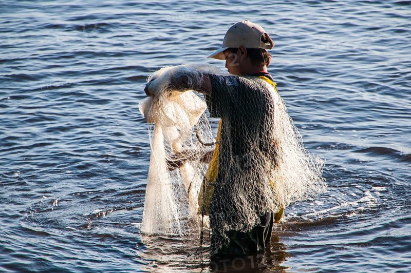Man netfishing in the harbour of Apia