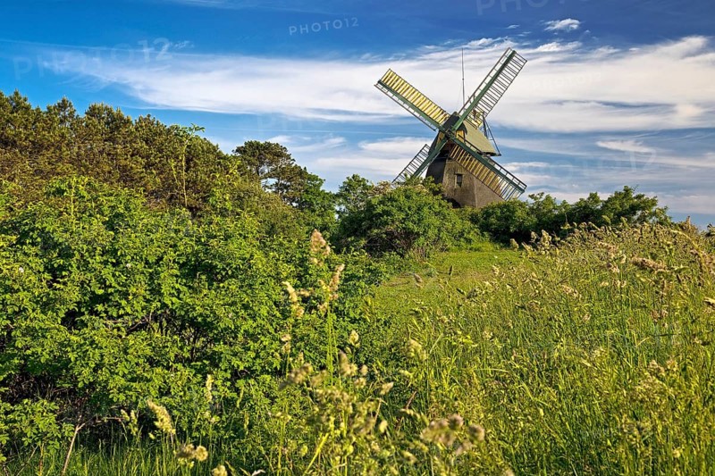 Landscape with windmill of the construction type Kellerhollaender