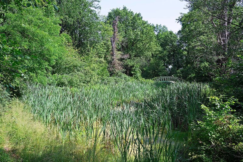 Typical landscape designed by Peter Josef Lenne