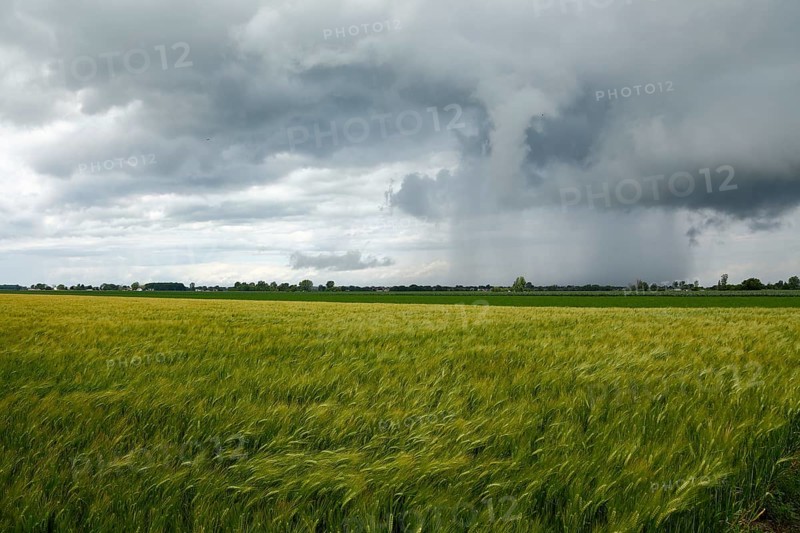 Storm clouds over farmland