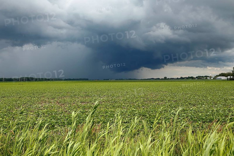 Storm clouds over farmland