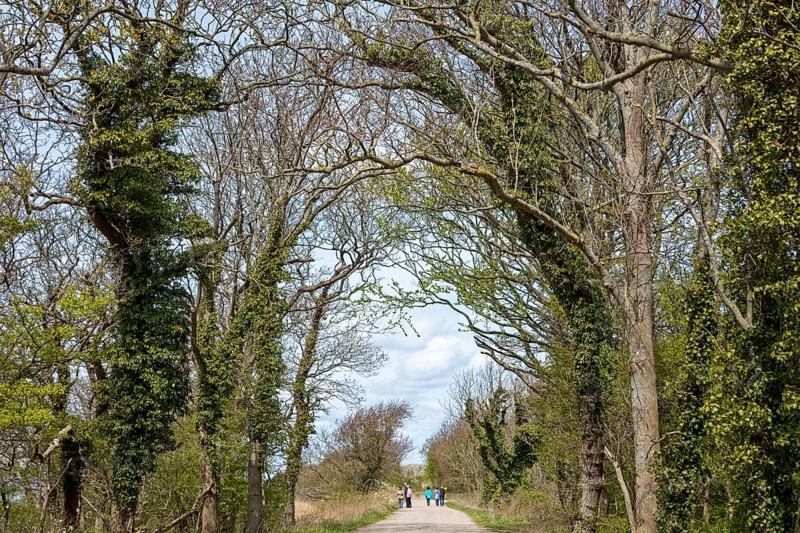 Hiking trail