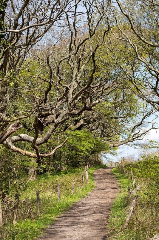 Hiking trail