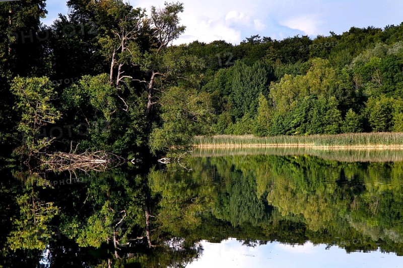 Natural landscape at the Schaalsee
