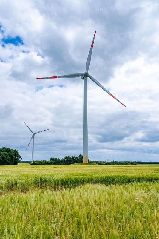 Wind turbines in Westerholz