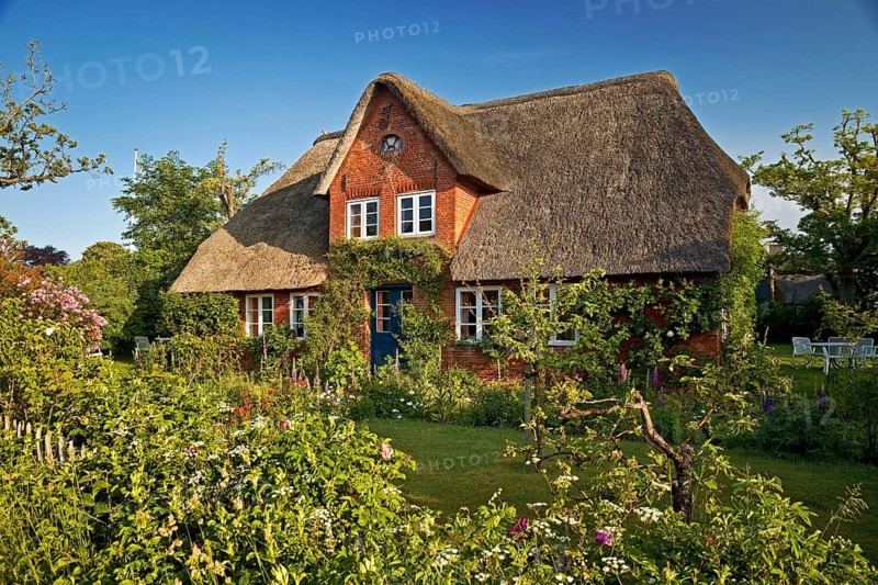 Thatched roof house