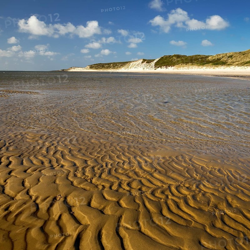 Spit with ripple pattern in yellow sand and dunes at low tide