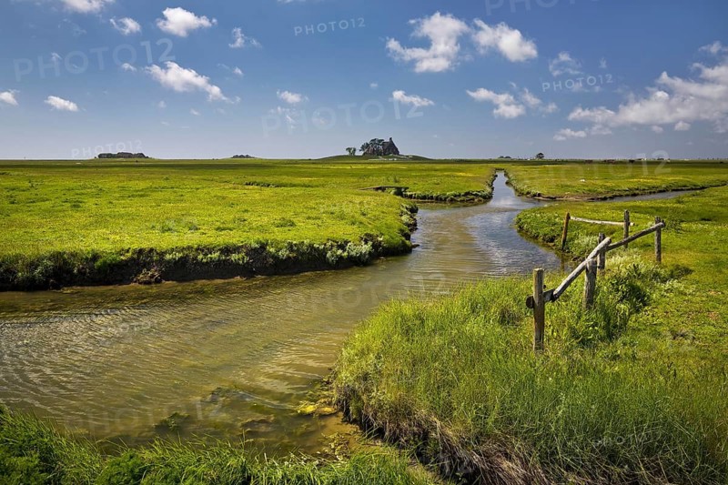 Marsh landscape with drainage ditches and terps