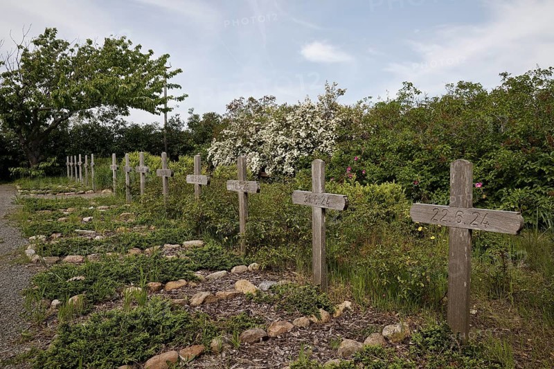 Cemetery of the homeless