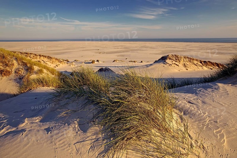 Dunes in the evening light with view of the Kniepsand and the sea