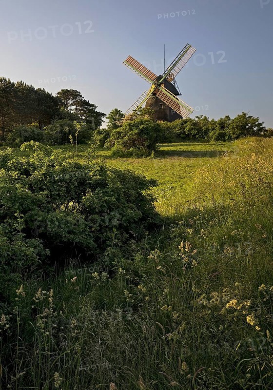 Landscape with windmill of the construction type Kellerhollaender