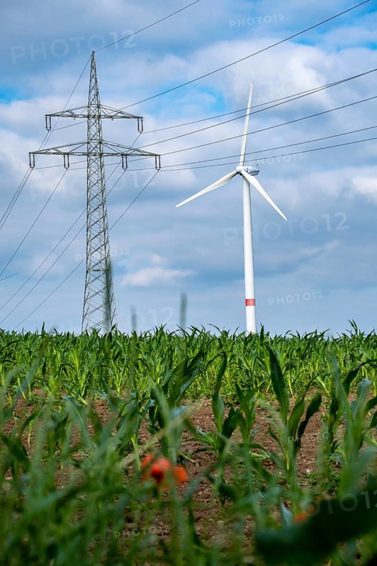 Wind turbines and power pylons at the Rundlingsdorf Gistenbeck