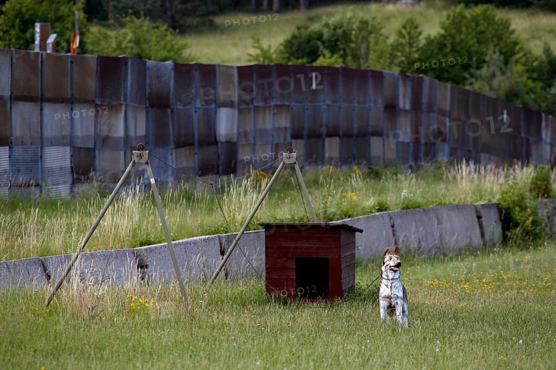 Dog run on the former German-German border