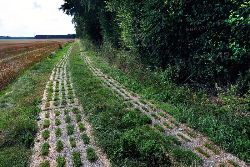 Column path