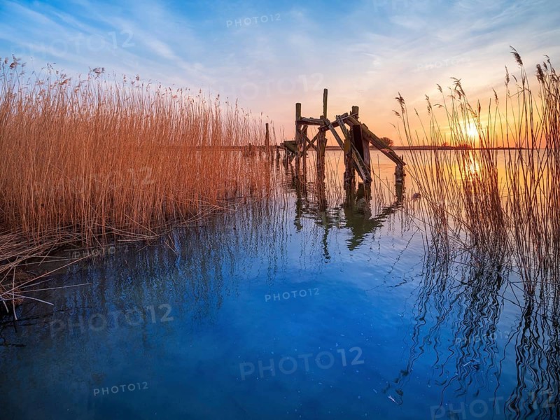 Old jetty in the reeds on the Peene River at sunset