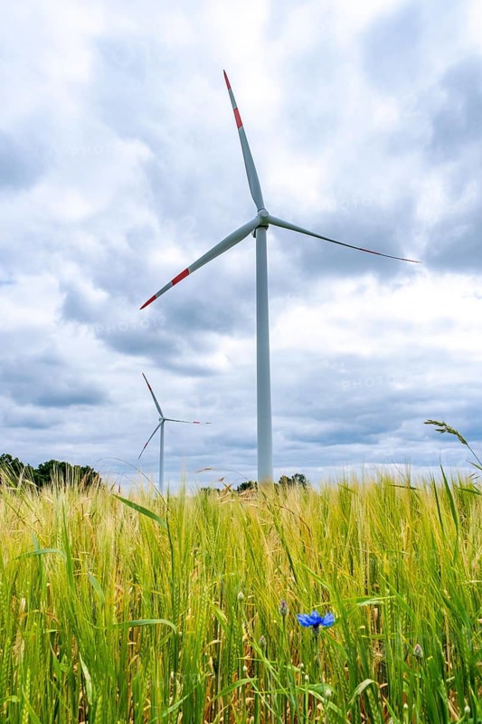 Wind turbines in Westerholz