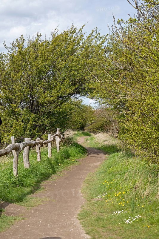 Hiking trail