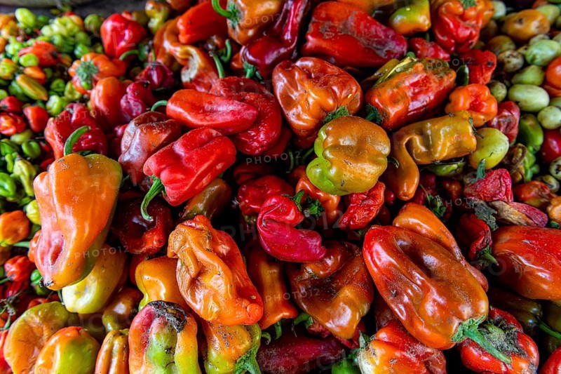 Peppers for sale