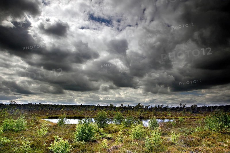 Moor Eye